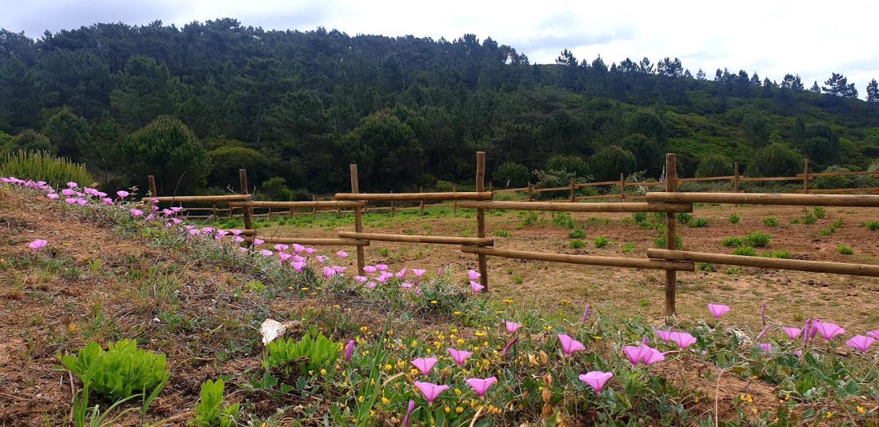 상 마르티뇨 두 포르투 Sondela Self Catering 빌라 외부 사진
