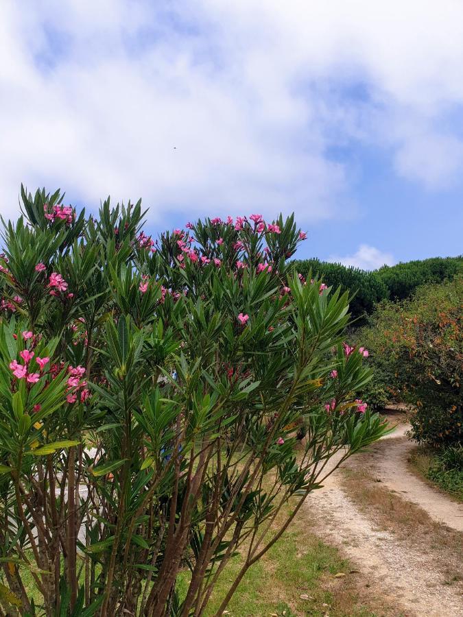 상 마르티뇨 두 포르투 Sondela Self Catering 빌라 외부 사진