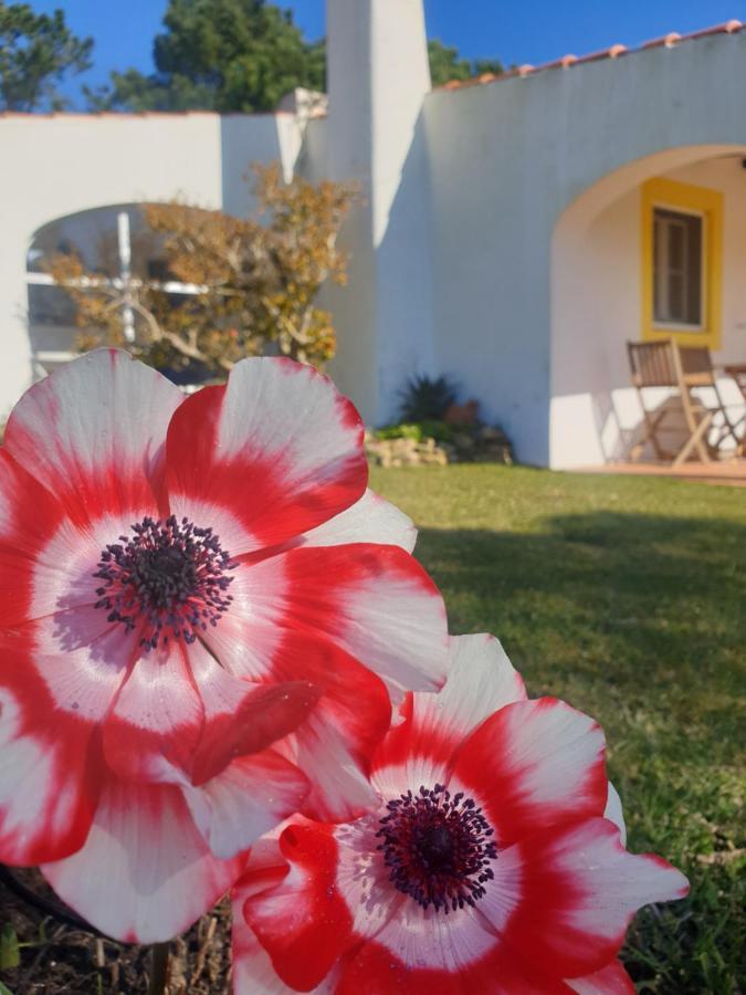 상 마르티뇨 두 포르투 Sondela Self Catering 빌라 외부 사진